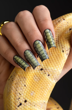 Monami Гель-лак Snake Eye №5, 8мл4