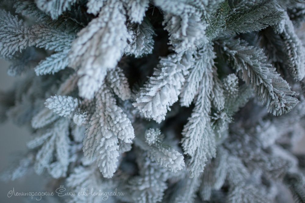 Заснеженная ель с гирляндой «Россо» холодный свет (Литая+пвх) 240 см / 2,4 м