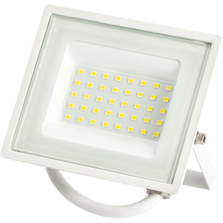 Прожектор светодиодный уличный ЭРА LPR-023-W-65K-030 30Вт 2400лм 6500K КСС Д 120° 2 года IP65 белый
