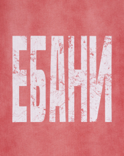 Футболка «EBONY»