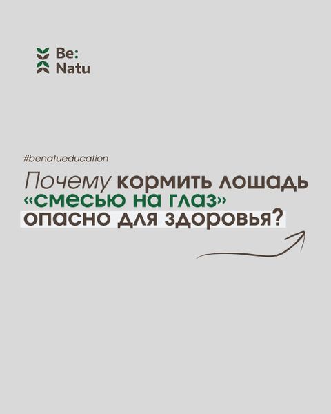 Почему кормить лошадь «смесью на глаз» опасно для здоровья? Почему кормить лошадь «смесью на глаз» опасно для здоровья?