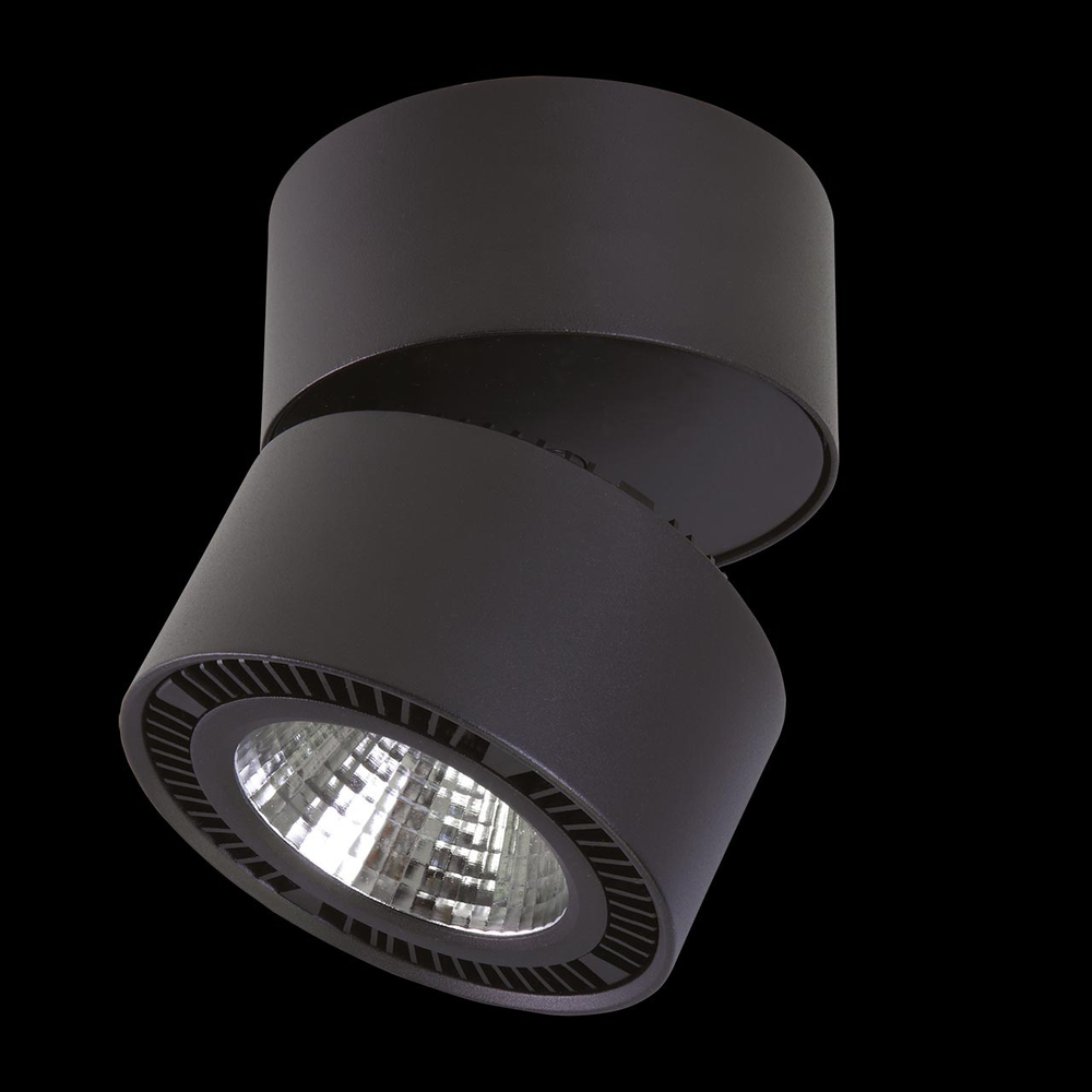 Спот Lightstar 213817