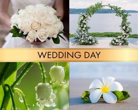 Wedding day (День свадьбы)