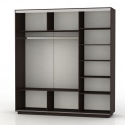 Шкаф-купе "Экспресс Медиум № 1 Трио"