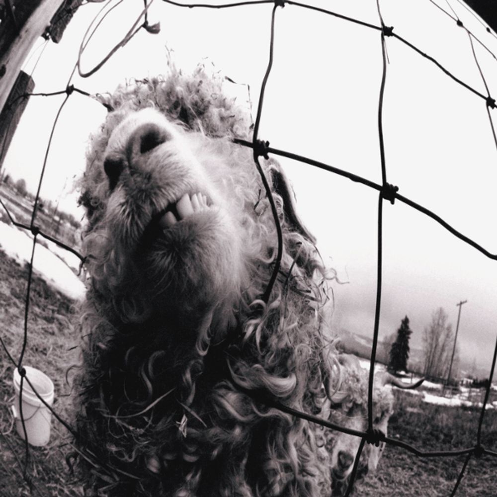 Pearl Jam / Vs. (Expanded Edition)(CD)