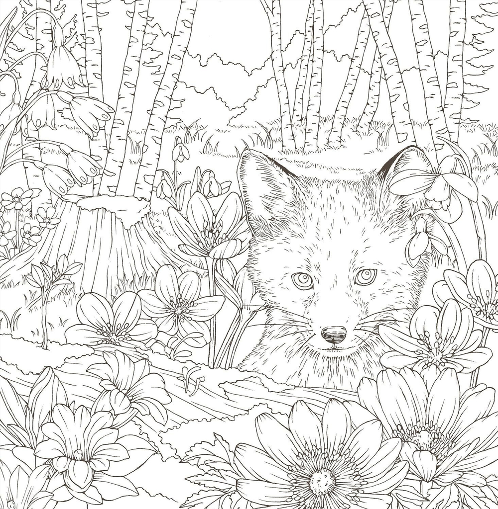 Symphony of Cute Animals. Coloring book