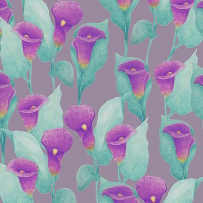 Каллы на сером фоне