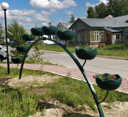 Арка Сингл-1