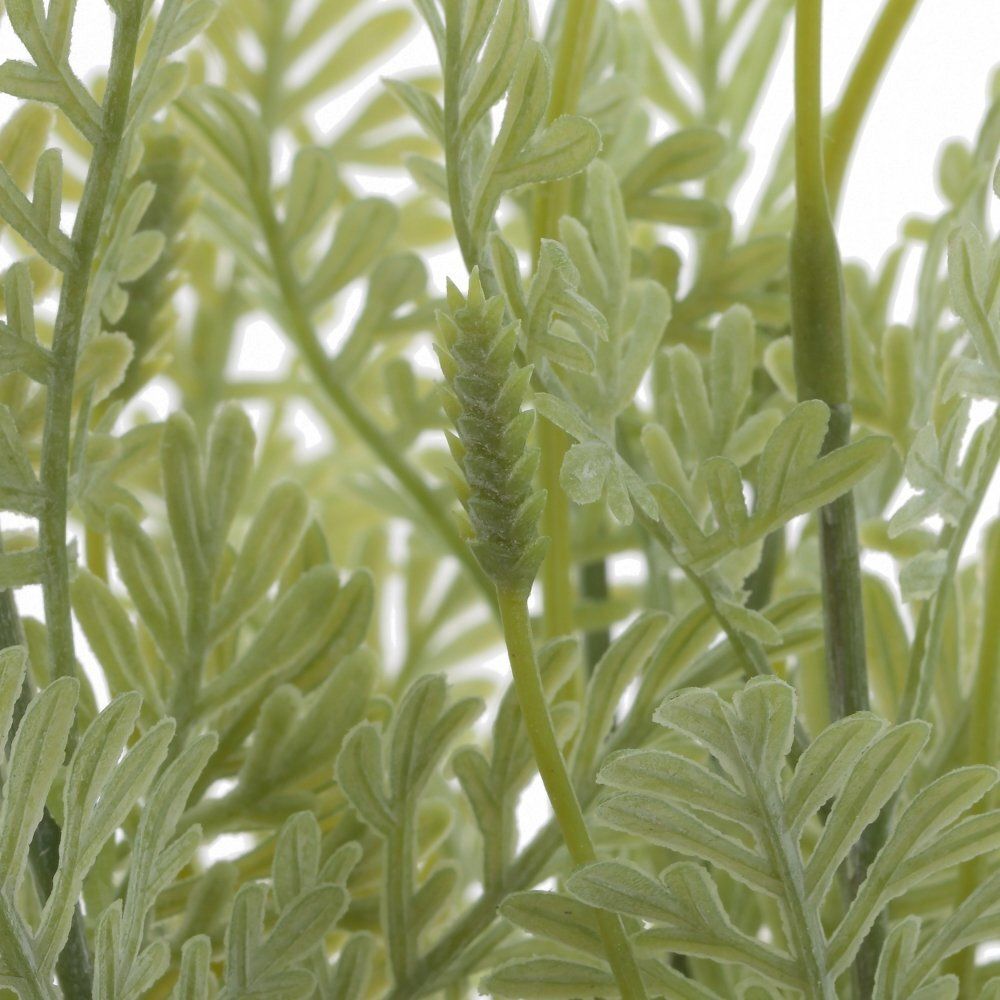 GAEM Цветочная композиция, L19 W19 H34 см, 2в.