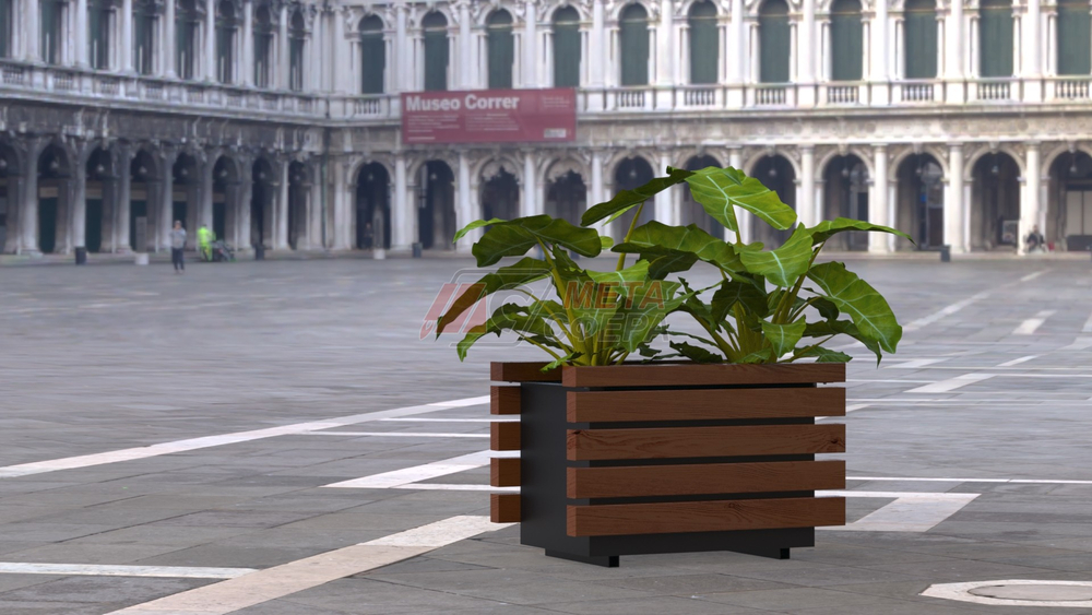 Вазон Лоди М