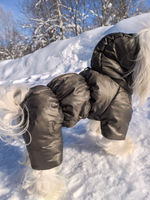 Зимний комбинезон для собак с капюшоном (мальчик)