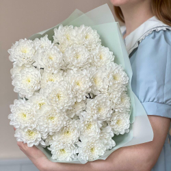 Букет красивых белых хризантем