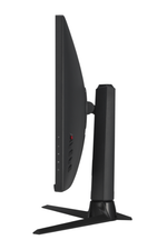 Монитор 32" ASUS XG32AQ