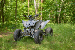 Квадроцикл SHARMAX Raizer Race Cup 250