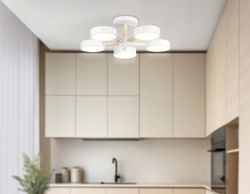 Ambrella Подвесной светодиодный светильник с пультом LineTech FL4825