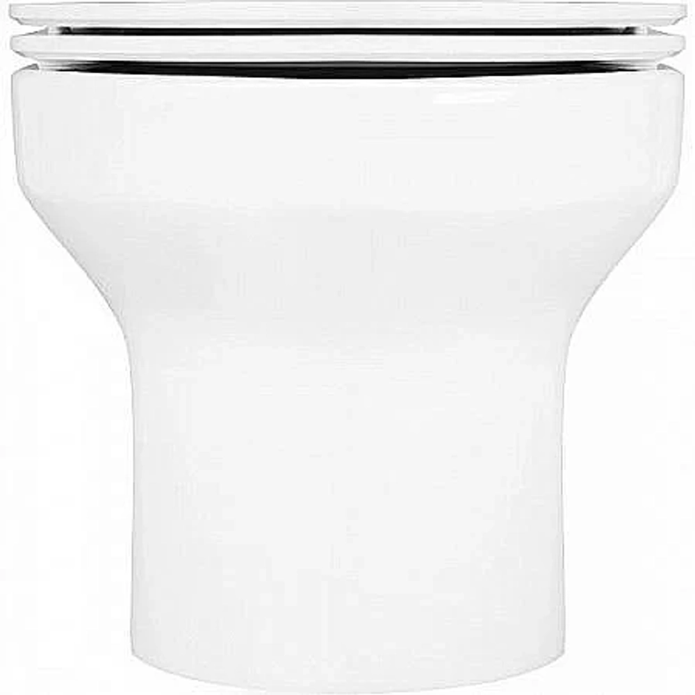 Унитаз подвесной Jacob Delafon ELITE E21742RU-00 безободковый, с крышкой микролифт, с инсталляцией и кнопкой хром