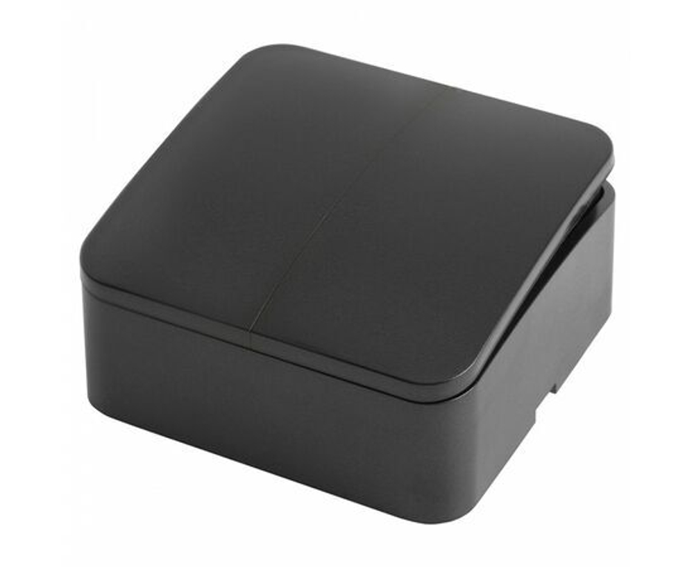 Выключатель открытой установки 2-клавишный STEKKER 250В 10А IP20 серия София черный MSW10-20-02