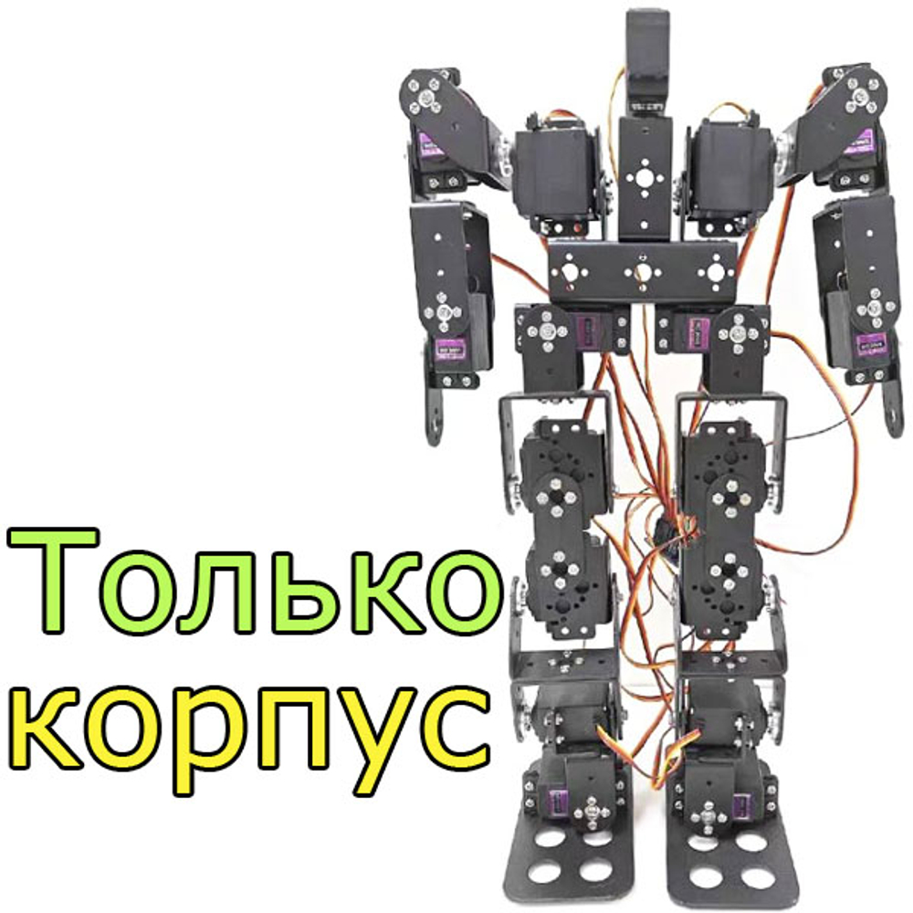 Робот/17 осей/MG996R (без серводвигателей)