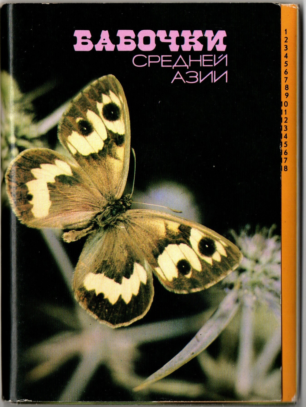Полный набор цветных открыток "Бабочки Средней Азии" 18 штук 1989 года СССР
