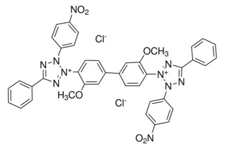 Тетразолиевый синий хлорид