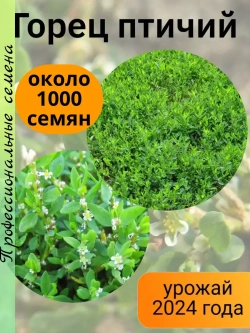 Семена Горец птичий (Polygonum aviculare) (Спорыш)
