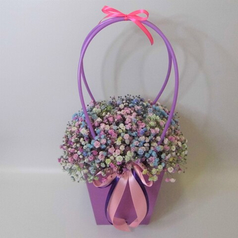 Радужная гипсофила в сумочке 22х22