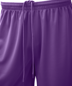 Шорты баскетбольные Camp Basic, фиолетовый, детский