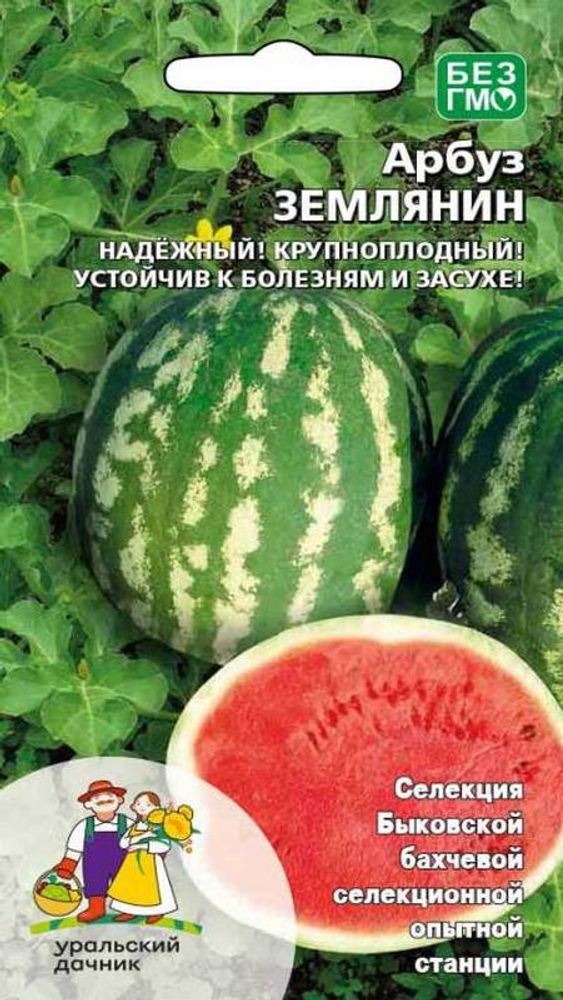 Арбуз "G. Землянин" 10шт., Россия. Арбуз "G. Землянин" 10шт., Россия.