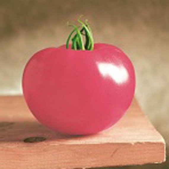 Пинк Уникум F1 семена томата индетерминантного (Seminis / Семинис) – фото 3