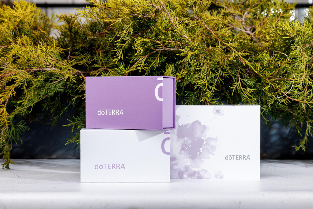 Подарочная коробка doTERRA с держателем на 3 масла в роллерах по 10 мл