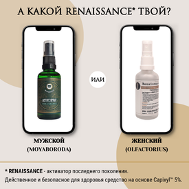 А Какой RENAISSANCE твой?