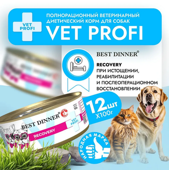 Влажный корм консервы для собак и кошек Best Dinner Vet Profi Recovery 0,1кг (диета восстановления в послеоперационный период). 12 упаковок