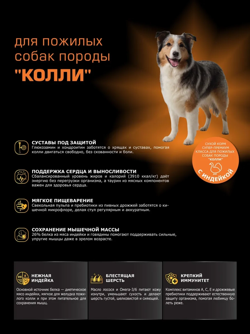 Корм для Колли старше 5 лет, с индейкой, 12 кг