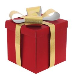 GAEM Коробка подарочная (бумага 350г/м2), L25 W25 H25 см