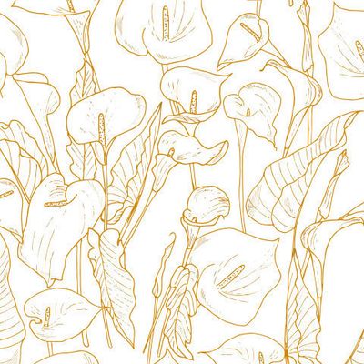Calla flower
