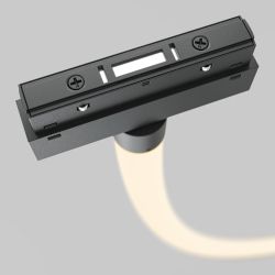 Трековый магнитный светодиодный светильник Maytoni Exility TR101-2-100W3K-B