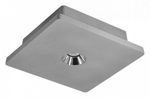 Накладной светильник Loft it OL1072-GH/1