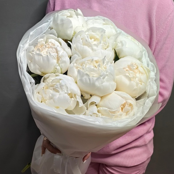 Букет из 9 белых пионов в "облачке"