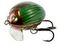 Воблер плавающий Salmo LIL'BUG F 02/GBG