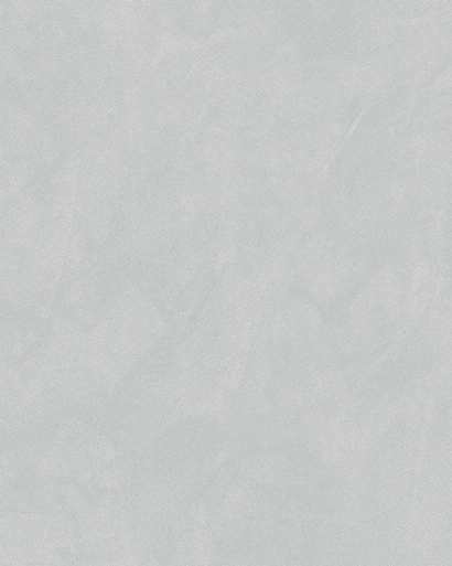 Обои 286907 Modern Accento