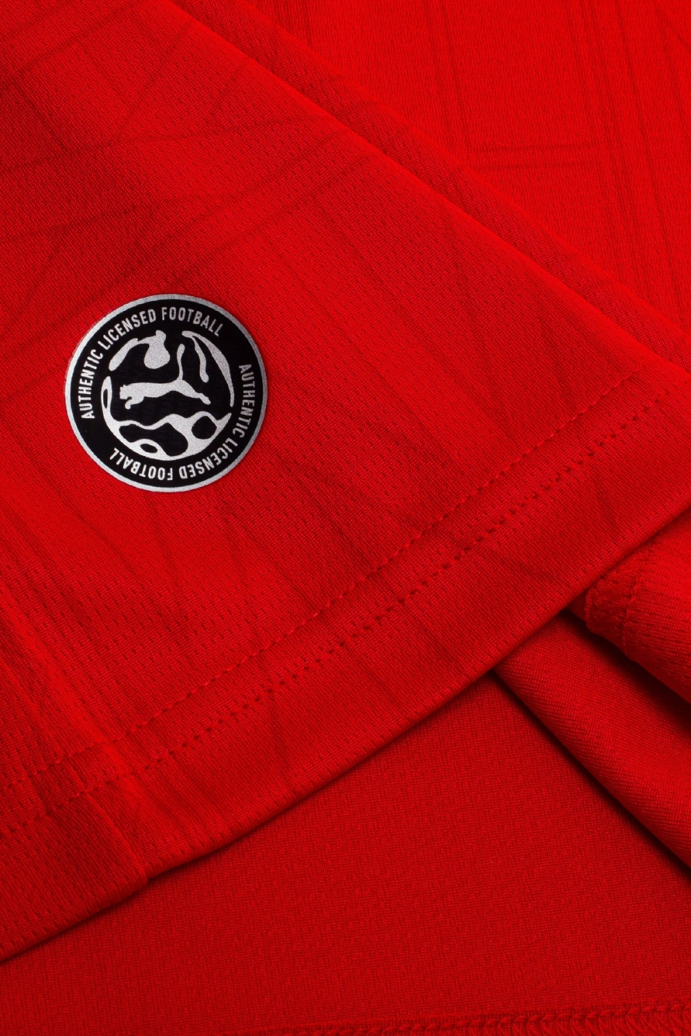 Футболка Puma Stade Rennais 26/27 Home - красный