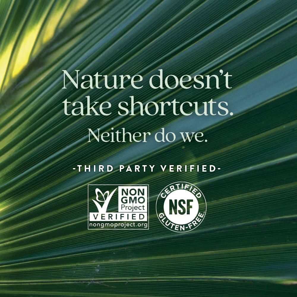 New Chapter, Zyflamend для простаты, 60 вегетарианских капсул