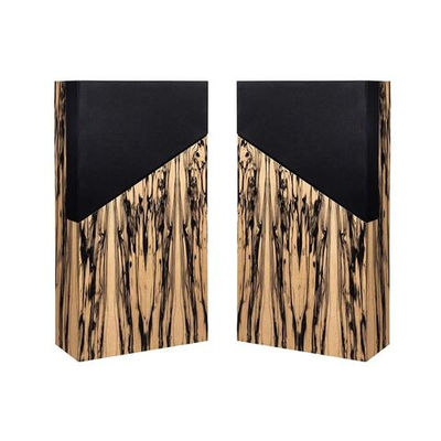 Напольная акустика Davis Acoustics THE WALL