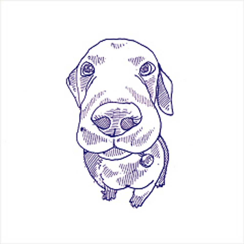 Керамогранит 41zero42 STORIES Eddie 10х10 Матовая (50 вариантов паттерна)