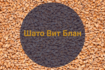 Солод Шато Вит Блан (Castle Malting), 1 кг