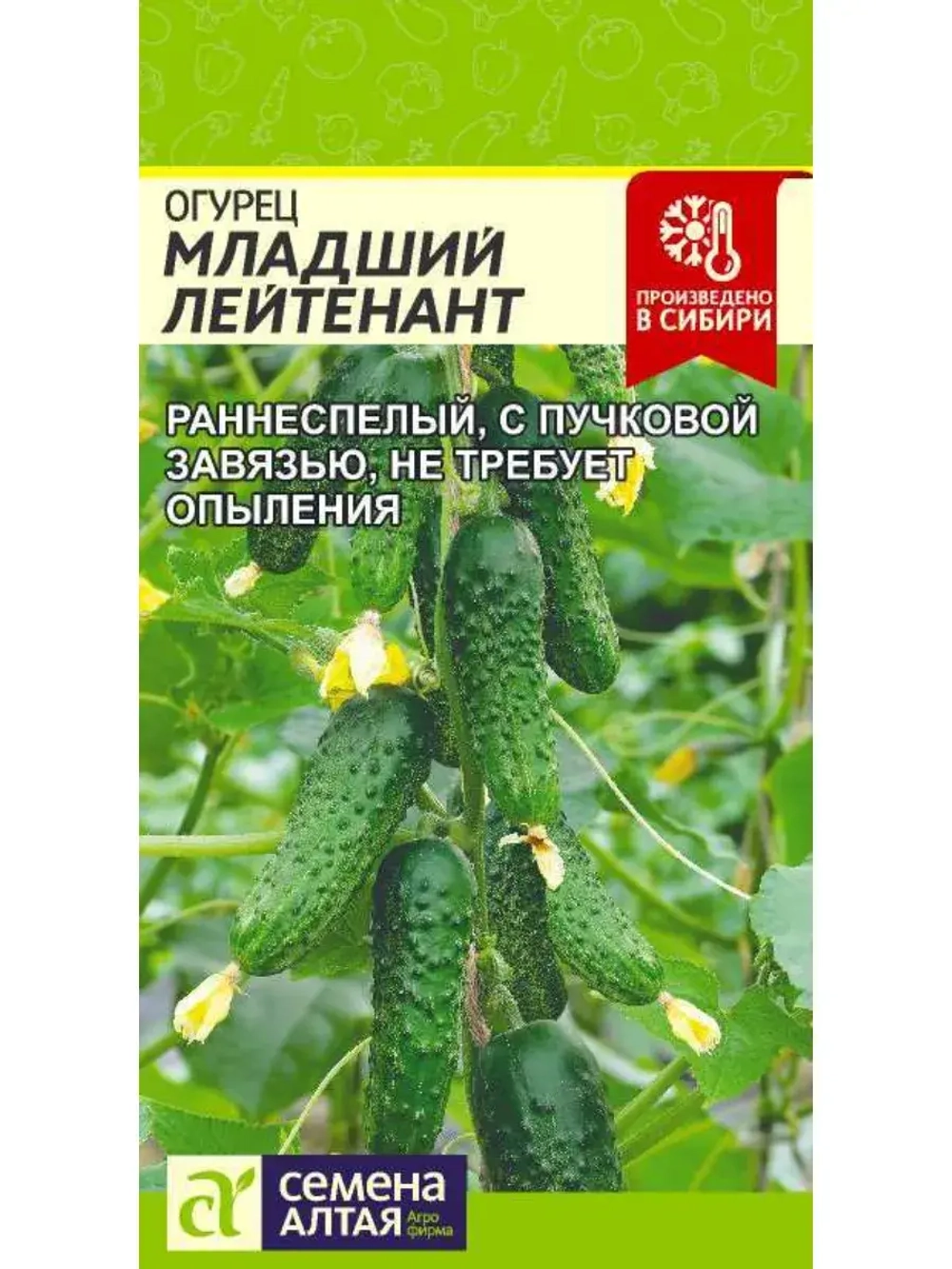 Семена огурцов Младший Лейтенант F1