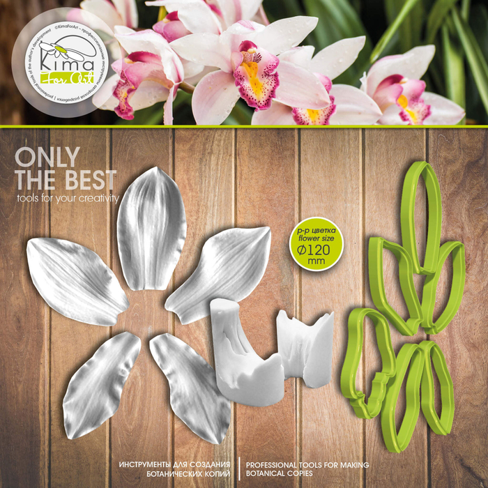 Цимбидиум лепестки и губа орхидея