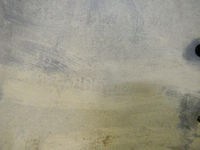 DSCN5526.jpg