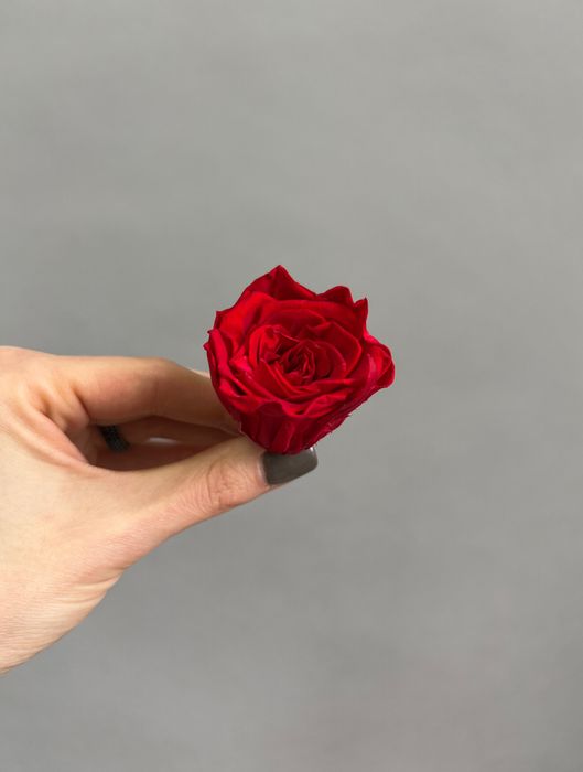 Роза классическая красная d=3 см