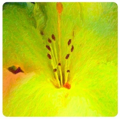 Медитация - Активация «Возрождение Вдохновения»